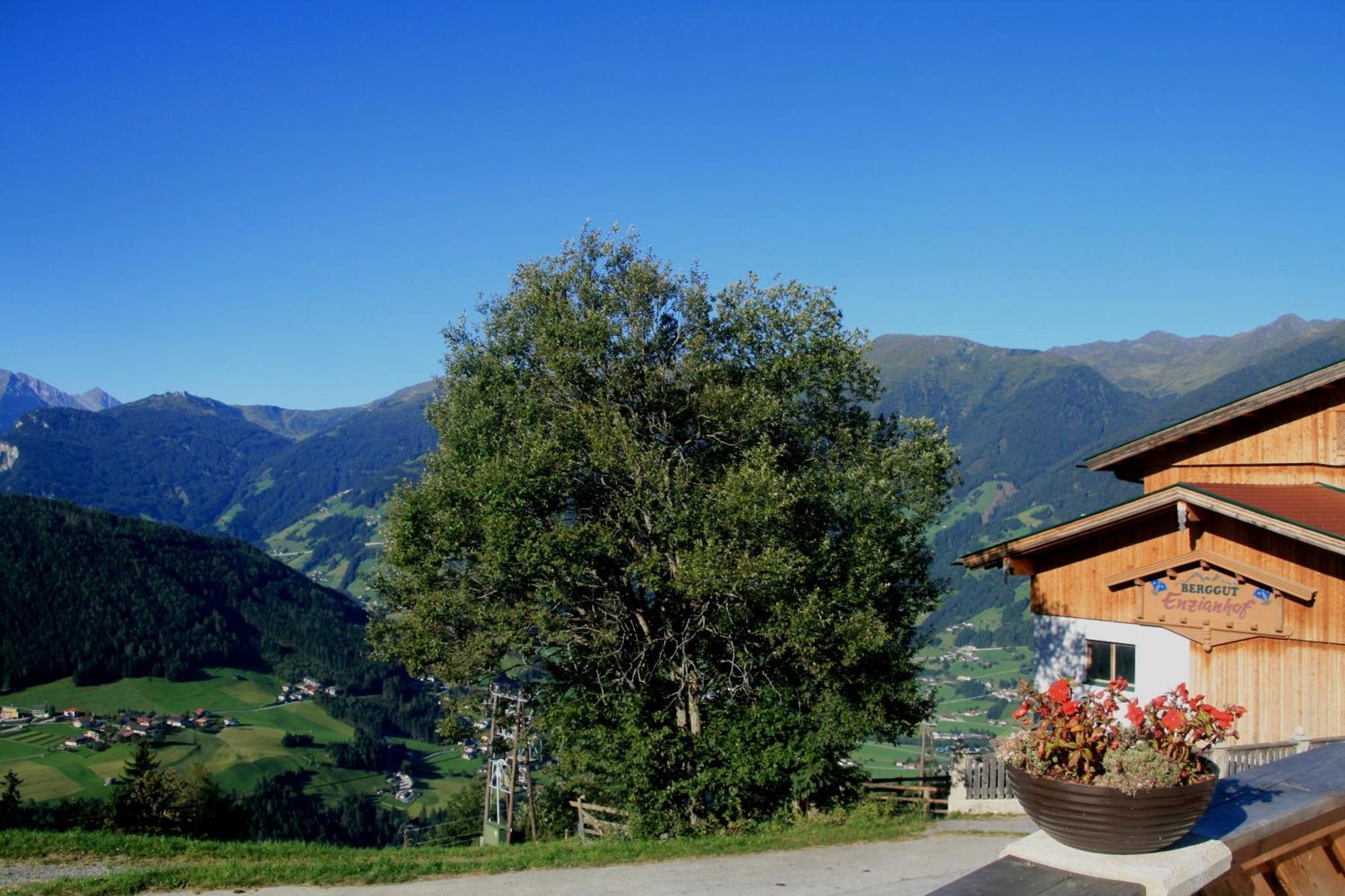 Alpengasthof Enzianhof Zell am Ziller Exteriör bild